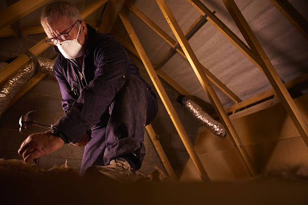 Best Insulation Contractor Near Me  in Marsing, ID